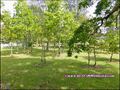 vente,achat,a vendre,maison,hectare,propriete,elevage,equestre,ferme,a vendre,44,loire atlantique,ile et vilaine,35,35600,redon,guemene,44290,35470,bain bretagne,56200,La Gacilly,56,morbihan,85,vendee,bretagne,pays loire,agence immobiliere,propriete,vente