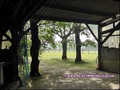 vente,achat,a vendre,maison,hectare,propriete,elevage,equestre,ferme,a vendre,44,loire atlantique,ile et vilaine,35,35600,redon,guemene,44290,35470,bain bretagne,56200,La Gacilly,56,morbihan,85,vendee,bretagne,pays loire,agence immobiliere,propriete,vente