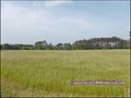 vente,achat,a vendre,maison,hectare,propriete,elevage,equestre,ferme,a vendre,44,loire atlantique,ile et vilaine,35,35600,redon,guemene,44290,35470,bain bretagne,56200,La Gacilly,56,morbihan,85,vendee,bretagne,pays loire,agence immobiliere,propriete,vente