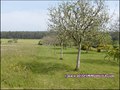 vente,achat,a vendre,maison,hectare,propriete,elevage,equestre,ferme,a vendre,44,loire atlantique,ile et vilaine,35,35600,redon,guemene,44290,35470,bain bretagne,56200,La Gacilly,56,morbihan,85,vendee,bretagne,pays loire,agence immobiliere,propriete,vente