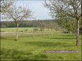 vente,achat,a vendre,maison,hectare,propriete,elevage,equestre,ferme,a vendre,44,loire atlantique,ile et vilaine,35,35600,redon,guemene,44290,35470,bain bretagne,56200,La Gacilly,56,morbihan,85,vendee,bretagne,pays loire,agence immobiliere,propriete,vente
