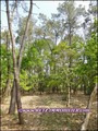 vente,achat,a vendre,maison,hectare,propriete,elevage,equestre,ferme,a vendre,44,loire atlantique,ile et vilaine,35,35600,redon,guemene,44290,35470,bain bretagne,56200,La Gacilly,56,morbihan,85,vendee,bretagne,pays loire,agence immobiliere,propriete,vente