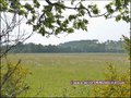 vente,achat,a vendre,maison,hectare,propriete,elevage,equestre,ferme,a vendre,44,loire atlantique,ile et vilaine,35,35600,redon,guemene,44290,35470,bain bretagne,56200,La Gacilly,56,morbihan,85,vendee,bretagne,pays loire,agence immobiliere,propriete,vente
