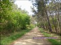 vente,achat,a vendre,maison,hectare,propriete,elevage,equestre,ferme,a vendre,44,loire atlantique,ile et vilaine,35,35600,redon,guemene,44290,35470,bain bretagne,56200,La Gacilly,56,morbihan,85,vendee,bretagne,pays loire,agence immobiliere,propriete,vente