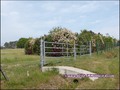vente,achat,a vendre,maison,hectare,propriete,elevage,equestre,ferme,a vendre,44,loire atlantique,ile et vilaine,35,35600,redon,guemene,44290,35470,bain bretagne,56200,La Gacilly,56,morbihan,85,vendee,bretagne,pays loire,agence immobiliere,propriete,vente