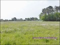 vente,achat,a vendre,maison,hectare,propriete,elevage,equestre,ferme,a vendre,44,loire atlantique,ile et vilaine,35,35600,redon,guemene,44290,35470,bain bretagne,56200,La Gacilly,56,morbihan,85,vendee,bretagne,pays loire,agence immobiliere,propriete,vente