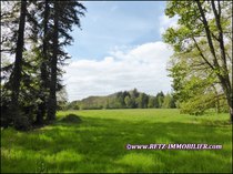 agence immobiliere, prestige, belle demeure, propriete, vente, achat, a vendre, manoir, chateau, logis, folie, maison charme, maison caractere, residence secondaire, hectare, morbihan, 56, vannes, loire atlantique, 44, nantes, la baule, pornic, vendee, 85