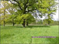 agence immobiliere, prestige, belle demeure, propriete, vente, achat, a vendre, manoir, chateau, logis, folie, maison charme, maison caractere, residence secondaire, hectare, morbihan, 56, vannes, loire atlantique, 44, nantes, la baule, pornic, vendee, 85