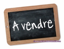 agence immobiliere, prestige, belle demeure, propriete, vente, achat, a vendre, manoir, chateau, logis, folie, maison charme, maison caractere, residence secondaire, hectare, morbihan, 56, vannes, loire atlantique, 44, nantes, la baule, pornic, vendee, 85