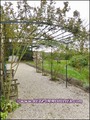 vente,achat,a vendre,maison,demeure,caractere,maison,sud vendee,marais poitevin,parc naturel,velluire,le langon,fontenay le comte,auzay,vix,maillezais,nieul autise,marans,la rochelle,campagne,85770,85200,85420,17230,17000,agence immobiliere,propriete,vent