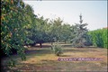 vente,achat,a vendre,maison,demeure,caractere,maison,sud vendee,marais poitevin,parc naturel,velluire,le langon,fontenay le comte,auzay,vix,maillezais,nieul autise,marans,la rochelle,campagne,85770,85200,85420,17230,17000,agence immobiliere,propriete,vent