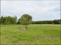vente,achat,a vendre,maison,corps de ferme,ferme,propriete,isolee,calme,hectare,dependance,a renover,la roche sur yon,85000,Belleville-sur-Vie,85170,Les Lucs-sur-Boulogne,saint denis la chevasse,saligny,chauché,85140,les essarts,85,vendee,44,loire atlanti