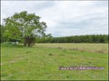 vente,achat,a vendre,maison,corps de ferme,ferme,propriete,isolee,calme,hectare,dependance,a renover,la roche sur yon,85000,Belleville-sur-Vie,85170,Les Lucs-sur-Boulogne,saint denis la chevasse,saligny,chauché,85140,les essarts,85,vendee,44,loire atlanti