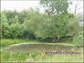 vente,achat,a vendre,maison,corps de ferme,ferme,propriete,isolee,calme,hectare,dependance,a renover,la roche sur yon,85000,Belleville-sur-Vie,85170,Les Lucs-sur-Boulogne,saint denis la chevasse,saligny,chauché,85140,les essarts,85,vendee,44,loire atlanti