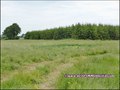 vente,achat,a vendre,maison,corps de ferme,ferme,propriete,isolee,calme,hectare,dependance,a renover,la roche sur yon,85000,Belleville-sur-Vie,85170,Les Lucs-sur-Boulogne,saint denis la chevasse,saligny,chauché,85140,les essarts,85,vendee,44,loire atlanti