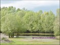 vente,maison,longere,propriete,a vendre,propriete equestre,dependance,gite,reception,terrain,agricole,zone,loisir,hectare,44,loire atlantique,nantes,la baule,pornic,bretagne,morbihan,56,vannes,rennes,french,real estate,agency,house,property for sale,haras