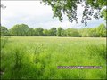 vente,maison,longere,propriete,a vendre,propriete equestre,dependance,gite,reception,terrain,agricole,zone,loisir,hectare,44,loire atlantique,nantes,la baule,pornic,bretagne,morbihan,56,vannes,rennes,french,real estate,agency,house,property for sale,haras