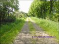 vente,maison,longere,propriete,a vendre,propriete equestre,dependance,gite,reception,terrain,agricole,zone,loisir,hectare,44,loire atlantique,nantes,la baule,pornic,bretagne,morbihan,56,vannes,rennes,french,real estate,agency,house,property for sale,haras
