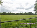 vente,maison,longere,propriete,a vendre,propriete equestre,dependance,gite,reception,terrain,agricole,zone,loisir,hectare,44,loire atlantique,nantes,la baule,pornic,bretagne,morbihan,56,vannes,rennes,french,real estate,agency,house,property for sale,haras