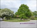 vente,maison,longere,propriete,a vendre,propriete equestre,dependance,gite,reception,terrain,agricole,zone,loisir,hectare,44,loire atlantique,nantes,la baule,pornic,bretagne,morbihan,56,vannes,rennes,french,real estate,agency,house,property for sale,haras