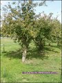 vente,achat,a vendre,maison,piscine interieure,piscine couverte,propriete equestre,hectare,la roche sur yon,85000,vendee,85,les sables d'olonne,nantes,montaigu,belleville sur vie,cabinet immobilier,agence immobiliere,expert immobilier,propriete,vente chat
