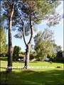 vente,achat,a vendre,maison,piscine,propriete,nantes,pays de retz,la montagne,44620,le pellerin,44640,cheix retz,rouans,sainte pazanne,44680,belle demeure,cabinet immobilier,agence immobiliere,expert immobilier,propriete,vente chateau,belle demeure,chatea