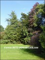 vente,achat,a vendre,maison,piscine,propriete,nantes,pays de retz,la montagne,44620,le pellerin,44640,cheix retz,rouans,sainte pazanne,44680,belle demeure,cabinet immobilier,agence immobiliere,expert immobilier,propriete,vente chateau,belle demeure,chatea