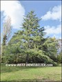 vente,achat,a vendre,maison,villa,belle demeure,geothermie,dependance,piscine chauffee,spa,jacuzzi,fitness,sport,hammam,sauna,jardin,vendee,85,lucon,nalliers,fontenay le comte,parc naturel,marais poitevin,cabinet immobilier,agence immobiliere,expert immob