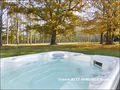 vente,achat,maison,villa,belle demeure,propriete boisée,domaine,chasse,enclos chasse,etang,hectares,maison,caractere,piscine,jacuzzi,dependances,cabinet immobilier,agence immobiliere,propriete,vente chateau,belle demeure,chateau a vendre,maison de charme,