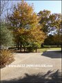 vente,achat,maison,villa,belle demeure,propriete boisée,domaine,chasse,enclos chasse,etang,hectares,maison,caractere,piscine,jacuzzi,dependances,cabinet immobilier,agence immobiliere,propriete,vente chateau,belle demeure,chateau a vendre,maison de charme,