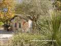 vente,achat,maison,villa,belle demeure,propriete boisée,domaine,chasse,enclos chasse,etang,hectares,maison,caractere,piscine,jacuzzi,dependances,cabinet immobilier,agence immobiliere,propriete,vente chateau,belle demeure,chateau a vendre,maison de charme,