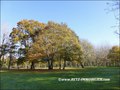 vente,achat,maison,villa,belle demeure,propriete boisée,domaine,chasse,enclos chasse,etang,hectares,maison,caractere,piscine,jacuzzi,dependances,cabinet immobilier,agence immobiliere,propriete,vente chateau,belle demeure,chateau a vendre,maison de charme,