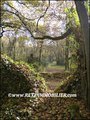 vente,achat,maison,villa,belle demeure,propriete boisée,domaine,chasse,enclos chasse,etang,hectares,maison,caractere,piscine,jacuzzi,dependances,cabinet immobilier,agence immobiliere,propriete,vente chateau,belle demeure,chateau a vendre,maison de charme,
