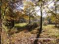 vente,achat,maison,villa,belle demeure,propriete boisée,domaine,chasse,enclos chasse,etang,hectares,maison,caractere,piscine,jacuzzi,dependances,cabinet immobilier,agence immobiliere,propriete,vente chateau,belle demeure,chateau a vendre,maison de charme,