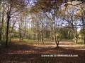 vente,achat,maison,villa,belle demeure,propriete boisée,domaine,chasse,enclos chasse,etang,hectares,maison,caractere,piscine,jacuzzi,dependances,cabinet immobilier,agence immobiliere,propriete,vente chateau,belle demeure,chateau a vendre,maison de charme,