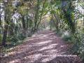 vente,achat,maison,villa,belle demeure,propriete boisée,domaine,chasse,enclos chasse,etang,hectares,maison,caractere,piscine,jacuzzi,dependances,cabinet immobilier,agence immobiliere,propriete,vente chateau,belle demeure,chateau a vendre,maison de charme,
