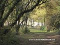 vente,achat,maison,villa,belle demeure,propriete boisée,domaine,chasse,enclos chasse,etang,hectares,maison,caractere,piscine,jacuzzi,dependances,cabinet immobilier,agence immobiliere,propriete,vente chateau,belle demeure,chateau a vendre,maison de charme,
