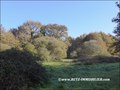 vente,achat,maison,villa,belle demeure,propriete boisée,domaine,chasse,enclos chasse,etang,hectares,maison,caractere,piscine,jacuzzi,dependances,cabinet immobilier,agence immobiliere,propriete,vente chateau,belle demeure,chateau a vendre,maison de charme,