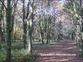 vente,achat,maison,villa,belle demeure,propriete boisée,domaine,chasse,enclos chasse,etang,hectares,maison,caractere,piscine,jacuzzi,dependances,cabinet immobilier,agence immobiliere,propriete,vente chateau,belle demeure,chateau a vendre,maison de charme,
