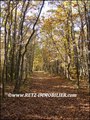 vente,achat,maison,villa,belle demeure,propriete boisée,domaine,chasse,enclos chasse,etang,hectares,maison,caractere,piscine,jacuzzi,dependances,cabinet immobilier,agence immobiliere,propriete,vente chateau,belle demeure,chateau a vendre,maison de charme,