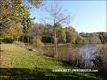 vente,achat,maison,villa,belle demeure,propriete boisée,domaine,chasse,enclos chasse,etang,hectares,maison,caractere,piscine,jacuzzi,dependances,cabinet immobilier,agence immobiliere,propriete,vente chateau,belle demeure,chateau a vendre,maison de charme,