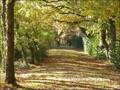 vente,achat,maison,villa,belle demeure,propriete boisée,domaine,chasse,enclos chasse,etang,hectares,maison,caractere,piscine,jacuzzi,dependances,cabinet immobilier,agence immobiliere,propriete,vente chateau,belle demeure,chateau a vendre,maison de charme,