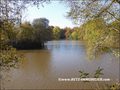 vente,achat,maison,villa,belle demeure,propriete boisée,domaine,chasse,enclos chasse,etang,hectares,maison,caractere,piscine,jacuzzi,dependances,cabinet immobilier,agence immobiliere,propriete,vente chateau,belle demeure,chateau a vendre,maison de charme,