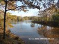 vente,achat,maison,villa,belle demeure,propriete boisée,domaine,chasse,enclos chasse,etang,hectares,maison,caractere,piscine,jacuzzi,dependances,cabinet immobilier,agence immobiliere,propriete,vente chateau,belle demeure,chateau a vendre,maison de charme,