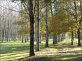 vente,achat,maison,villa,belle demeure,propriete boisée,domaine,chasse,enclos chasse,etang,hectares,maison,caractere,piscine,jacuzzi,dependances,cabinet immobilier,agence immobiliere,propriete,vente chateau,belle demeure,chateau a vendre,maison de charme,