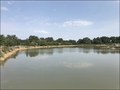 vente,achat,maison,propriete,rurale,agricole,ferme,terre,etang,exploitation,cheptel,dependances,ecovillage,bois,chasse,pays loire,angers,cholet,saumur,49,cabinet immobilier,agence immobiliere,propriete,vente chateau,belle demeure,chateau a vendre,maison d
