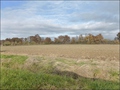 vente,achat,maison,propriete,rurale,agricole,ferme,terre,etang,exploitation,cheptel,dependances,ecovillage,bois,chasse,pays loire,angers,cholet,saumur,49,cabinet immobilier,agence immobiliere,propriete,vente chateau,belle demeure,chateau a vendre,maison d