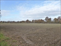 vente,achat,maison,propriete,rurale,agricole,ferme,terre,etang,exploitation,cheptel,dependances,ecovillage,bois,chasse,pays loire,angers,cholet,saumur,49,cabinet immobilier,agence immobiliere,propriete,vente chateau,belle demeure,chateau a vendre,maison d