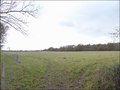 vente,achat,maison,propriete,rurale,agricole,ferme,terre,etang,exploitation,cheptel,dependances,ecovillage,bois,chasse,pays loire,angers,cholet,saumur,49,cabinet immobilier,agence immobiliere,propriete,vente chateau,belle demeure,chateau a vendre,maison d