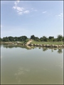 vente,achat,maison,propriete,rurale,agricole,ferme,terre,etang,exploitation,cheptel,dependances,ecovillage,bois,chasse,pays loire,angers,cholet,saumur,49,cabinet immobilier,agence immobiliere,propriete,vente chateau,belle demeure,chateau a vendre,maison d